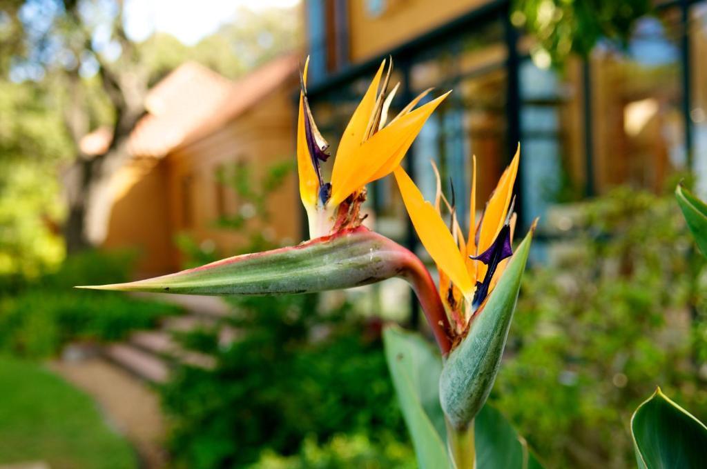 Cap Serein Guest House Fokváros Kültér fotó